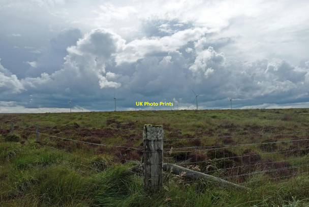 Photo 6"x4" Fence, Stroupster, Caithness Freswick c2017