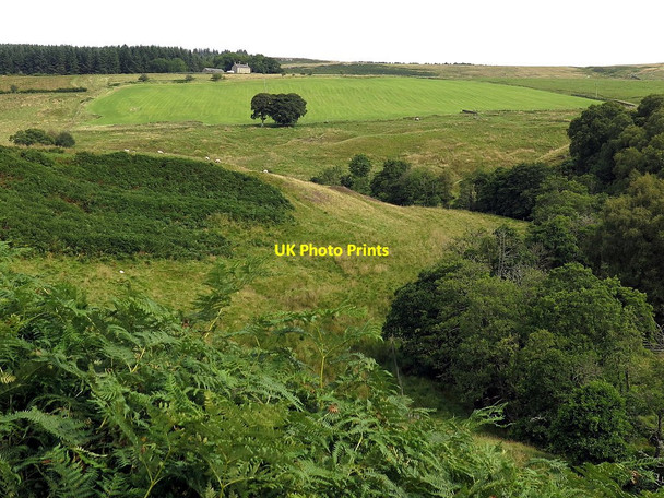 Photo 6"x4" Valley of Sills Burn towards Hillock Redesdale Camp c2017