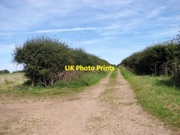 Photo 6"x4" Hedge-lined track Nogdam End c2017