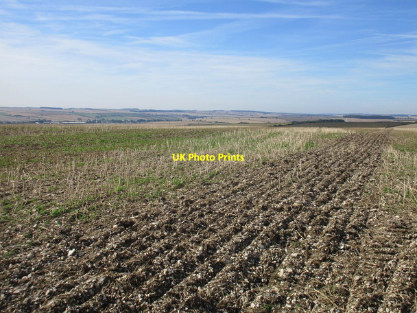 Photo 6"x4" Field near Cat Babbleton Foxholes\/TA0173 c2017