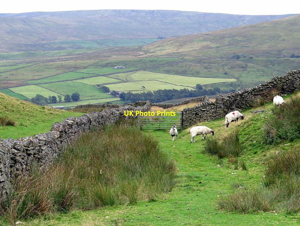 Photo 6"x4" Bridleway west of Bleak Laws East Blackdene c2017