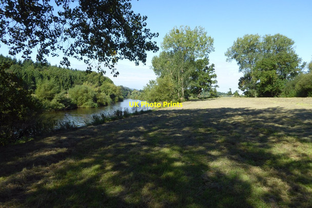 Photo 6"x4" Beside the River Severn on the Severn Way Severn Stoke c2017