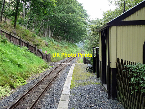 Photo 6"x4" Rheidol Falls station Aberffrwd\/SN6878 c2017