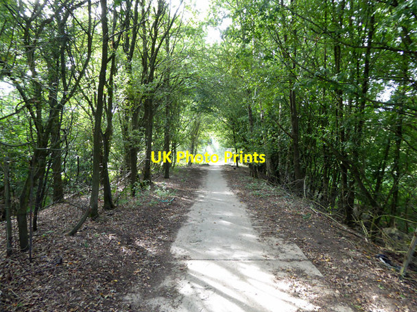 Photo 6"x4" Footpath from Copthorne to Balcombe Road Black Corner c2017