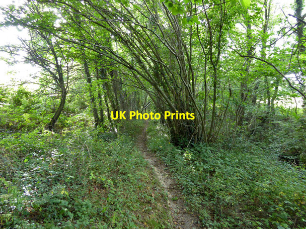 Photo 6"x4" Footpath from Copthorne to Balcombe Road Crabbet Park c2017