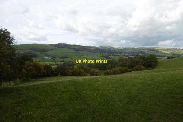 Photo 6"x4" View, The Warren Slough\/SO3063 c2016
