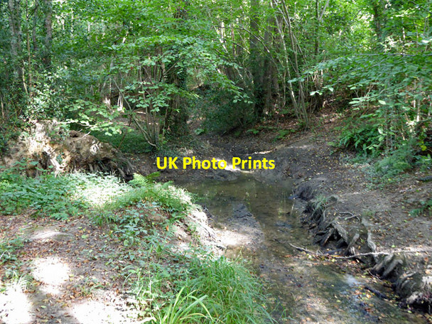 Photo 6"x4" Stream at corner of Heathy Ground Wood Crabbet Park c2017