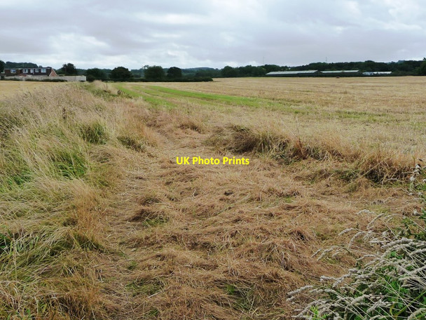 Photo 6"x4" Farmland north of Millholme Farm Brotton c2017