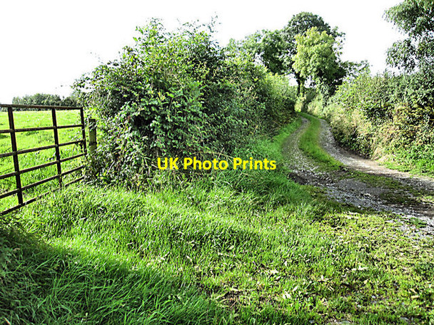 Photo 6"x4" Gate and Lane Tullaroan c2017