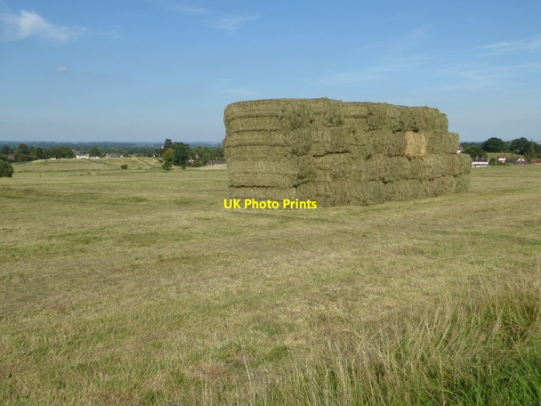 Photo 6"x4" Hay bales on Malvern Common Great Malvern c2017
