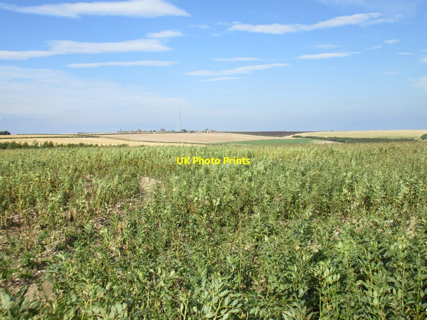 Photo 6"x4" Bean field and Staxton Wold Foxholes\/TA0173 c2017