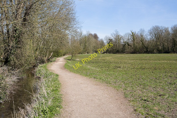 Photo 6"x4" Field north of St Cross Farm Winchester c2009