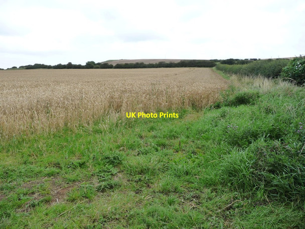 Photo 6"x4" Unharvested wheat field, north of Brotton Brotton c2017