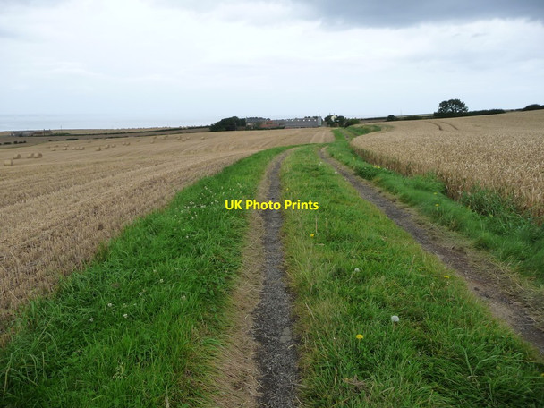 Photo 6"x4" Public footpath heading north to Brough House Farm Brotton c2017