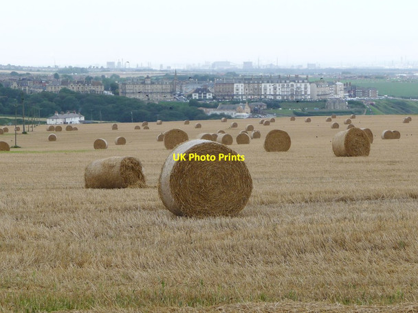 Photo 6"x4" Harvest in, north of Brough House Farm Brotton c2017