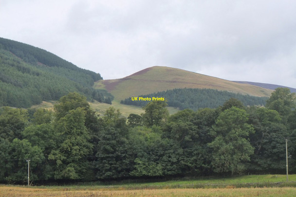 Photo 6"x4" Early Knowe Walkerburn c2017