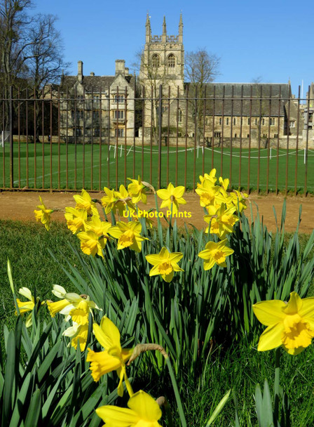 Photo 6"x4" Looking towards Merton College Oxford\/SP5106 c2017
