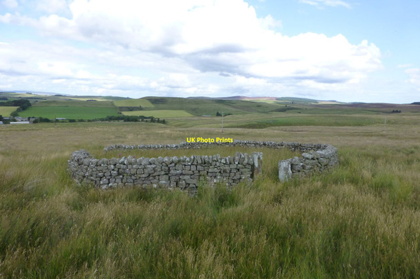 Photo 6"x4" Sheepfold above Raylees Raylees c2017