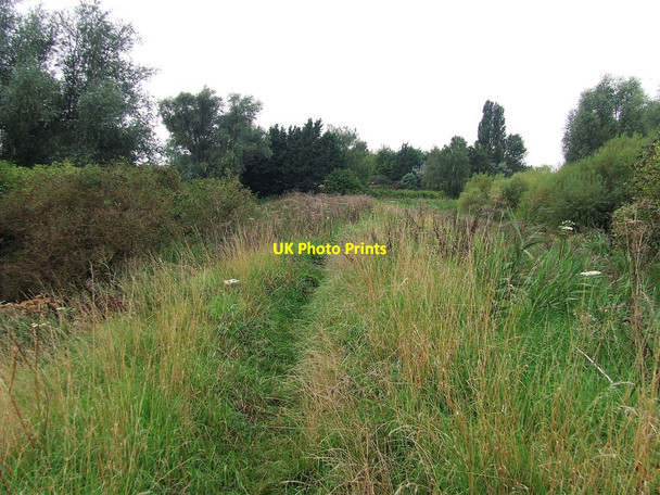 Photo 6"x4" Grassy Footpath River Bank c2017