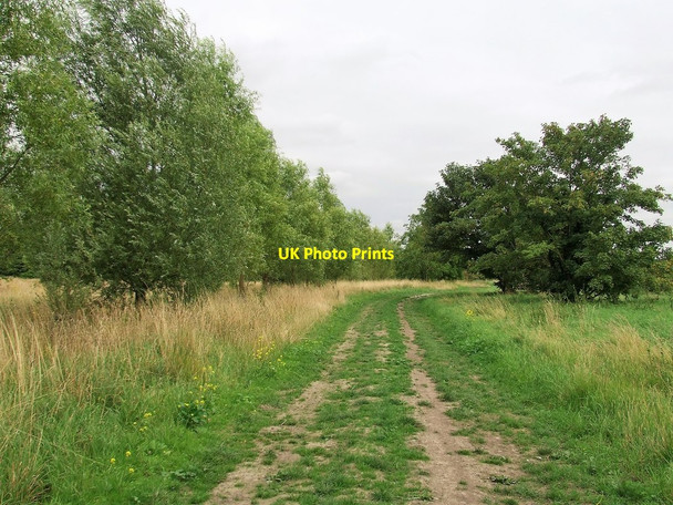 Photo 6"x4" Black Droveway Reach\/TL5666 c2017