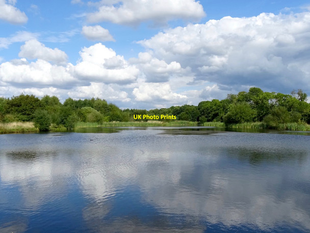 Photo 6"x4" Ludlam Wood lake Heather c2017
