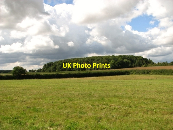 Photo 6"x4" Unnamed wood south of Hales Hall Hales Green\/TM3796 c2017