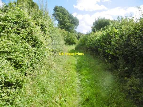 Photo 6"x4" Holwell, track Crendell c2017