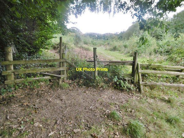 Photo 6"x4" Cranborne, stile & jump Crendell c2017