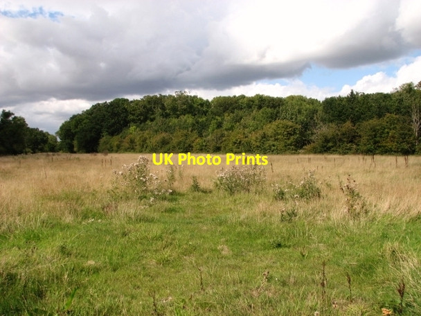 Photo 6"x4" The southern edge of Hales Wood Hales Green\/TM3796 c2017