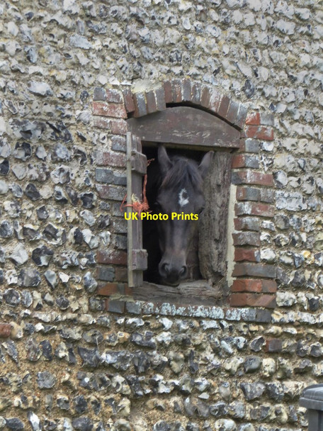 Photo 6"x4" Alciston tithe barn: window detail (with horse) Alciston c2017
