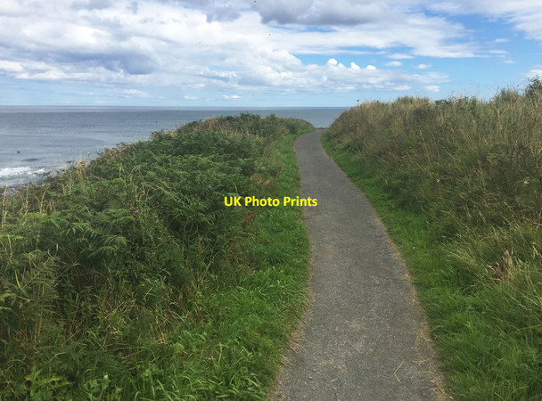 Photo 6"x4" Northumberland Coast Path at Howick Howick\/NU2517 c2017