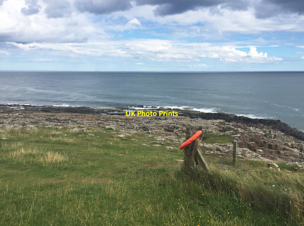 Photo 6"x4" Cullernose Point Craster c2017