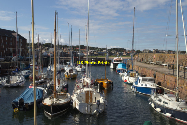 Photo 6"x4" North Berwick Harbour North Berwick c2017