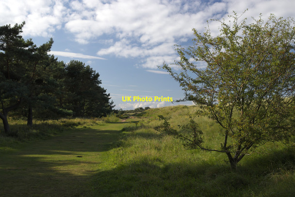 Photo 6"x4" Path by Hedderwick Wood West Barns c2017
