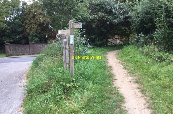 Photo 6"x4" South Downs Way at Amberley Amberley\/TQ0313 c2017