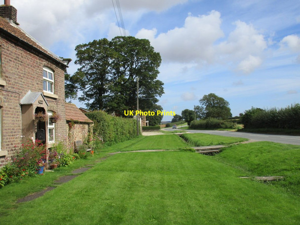 Photo 6"x4" Wide verge at Butterwick Butterwick\/SE9971 c2017