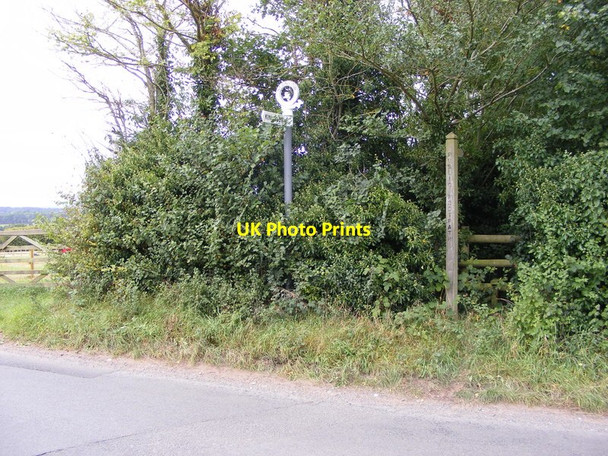 Photo 6"x4" Overgrown Path Ackleton c2017