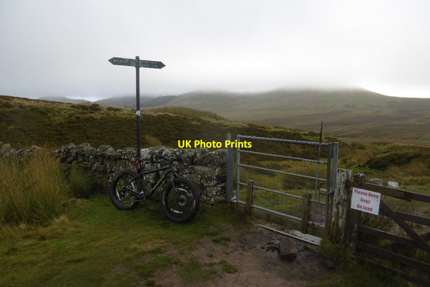 Photo 6"x4" Red Gate, Pentland Hills Malleny Mills c2016