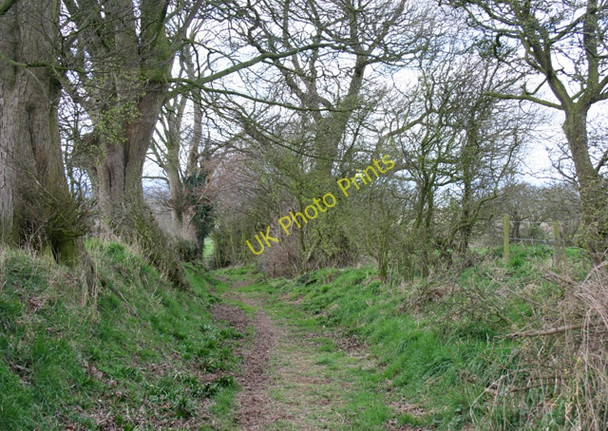 Photo 6"x4" Bishop Bennet Way & South Cheshire Way, near Wirswall Whitchurch\/SJ5441 c2009