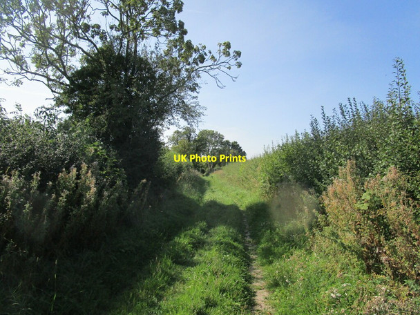 Photo 6"x4" Bridleway to Sulgrave Sulgrave\/SP5545 c2020