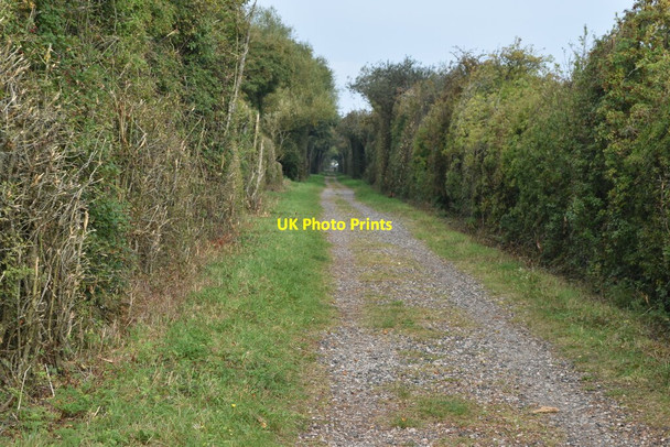Photo 6"x4" Track on former railway line south of Langport Portway\/ST4126 c2020