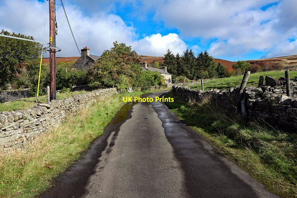 Photo 6"x4" Road below Sipton Terrace Spartylea c2020