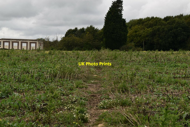 Photo 6"x4" Footpath to Sweet Willow Treatment Works Bexhill c2019