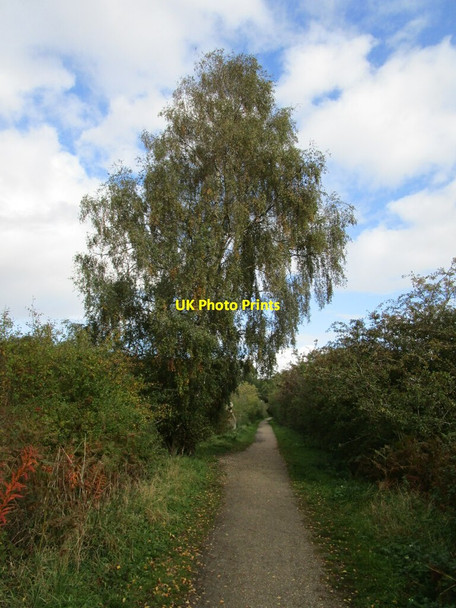 Photo 6"x4" The Viking Way, Martin Moor Martin Moor c2020