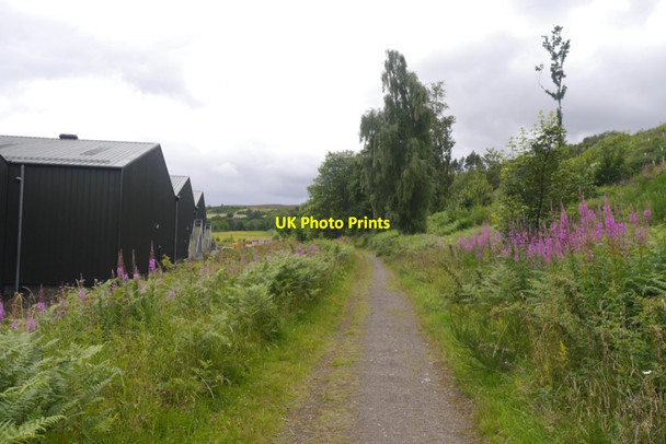 Photo 6"x4" Speyside Way passing Tamdhu Distillery Knockando c2020