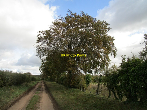 Photo 6"x4" Byway to Great Massingham Gayton Thorpe c2020