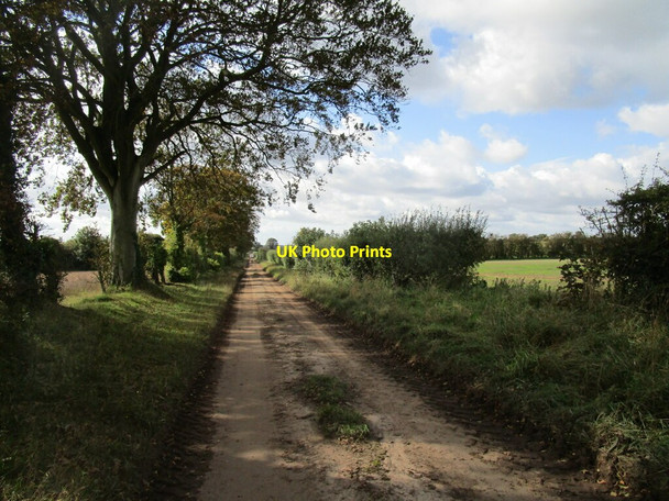 Photo 6"x4" Byway near Gayton Gayton Thorpe c2020 P1