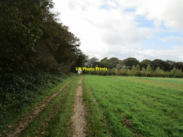 Photo 6"x4" Byway and Long Belt Gayton Thorpe c2020