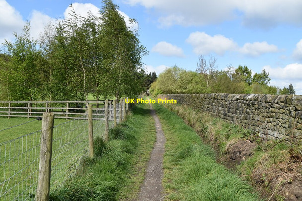 Photo 6"x4" Footpath off the end of Quarry Farm Rd Old Bramhope c2019