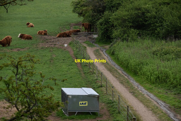 Photo 6"x4" Bridleway \/ track Whiteley Bank c2019